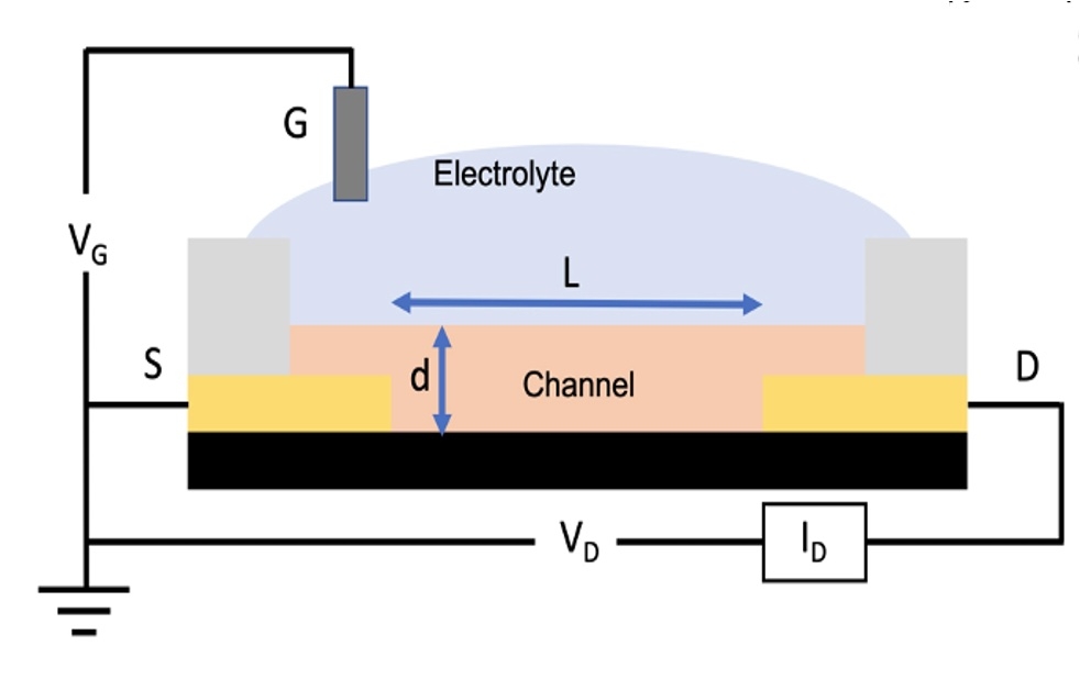 Regulating the regulator: Optimizing P3HT-based blends for organic ...