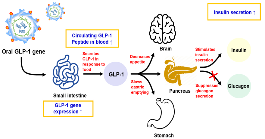 maritide glp 1 GLP-1 Antagonists Increase Plan Drug Spend - What's Next