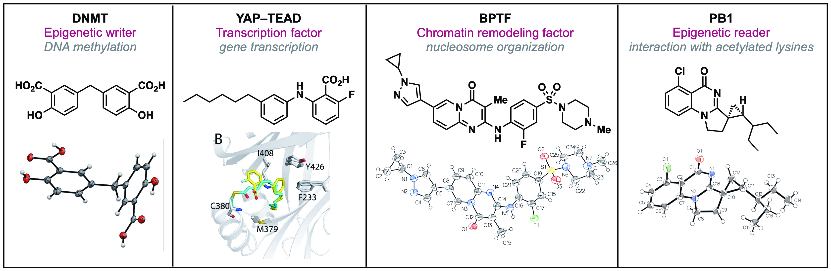 Development of modulators of enzymes and proteins involved in gene ...