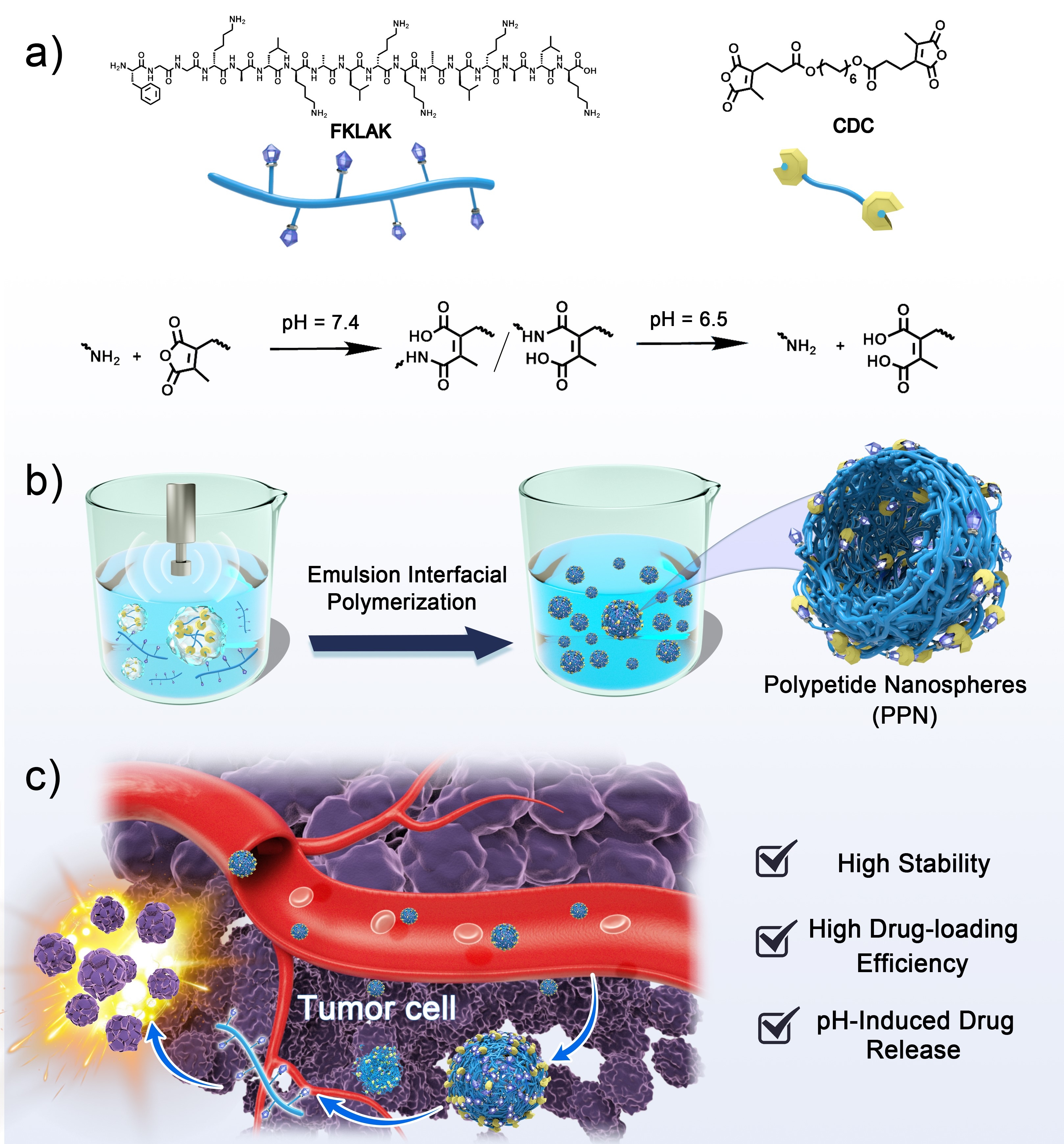 Emulsion interfacial polymerization for fabricating polypeptide ...