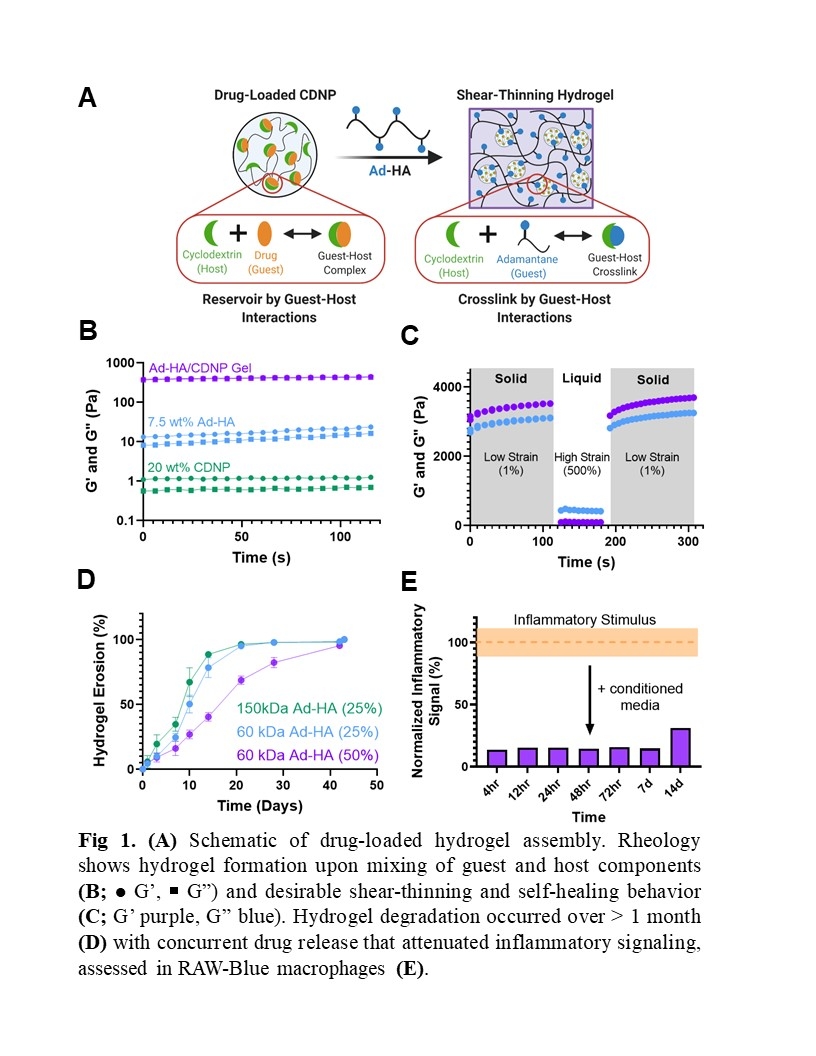 Pvcl Injectable polymer-nanoparticle hydrogels enable small molecule drug ...