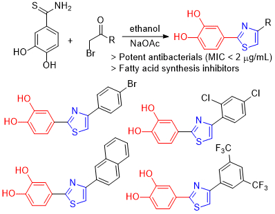 Synthesis of catechol-derived thiazole derivatives as potent ...