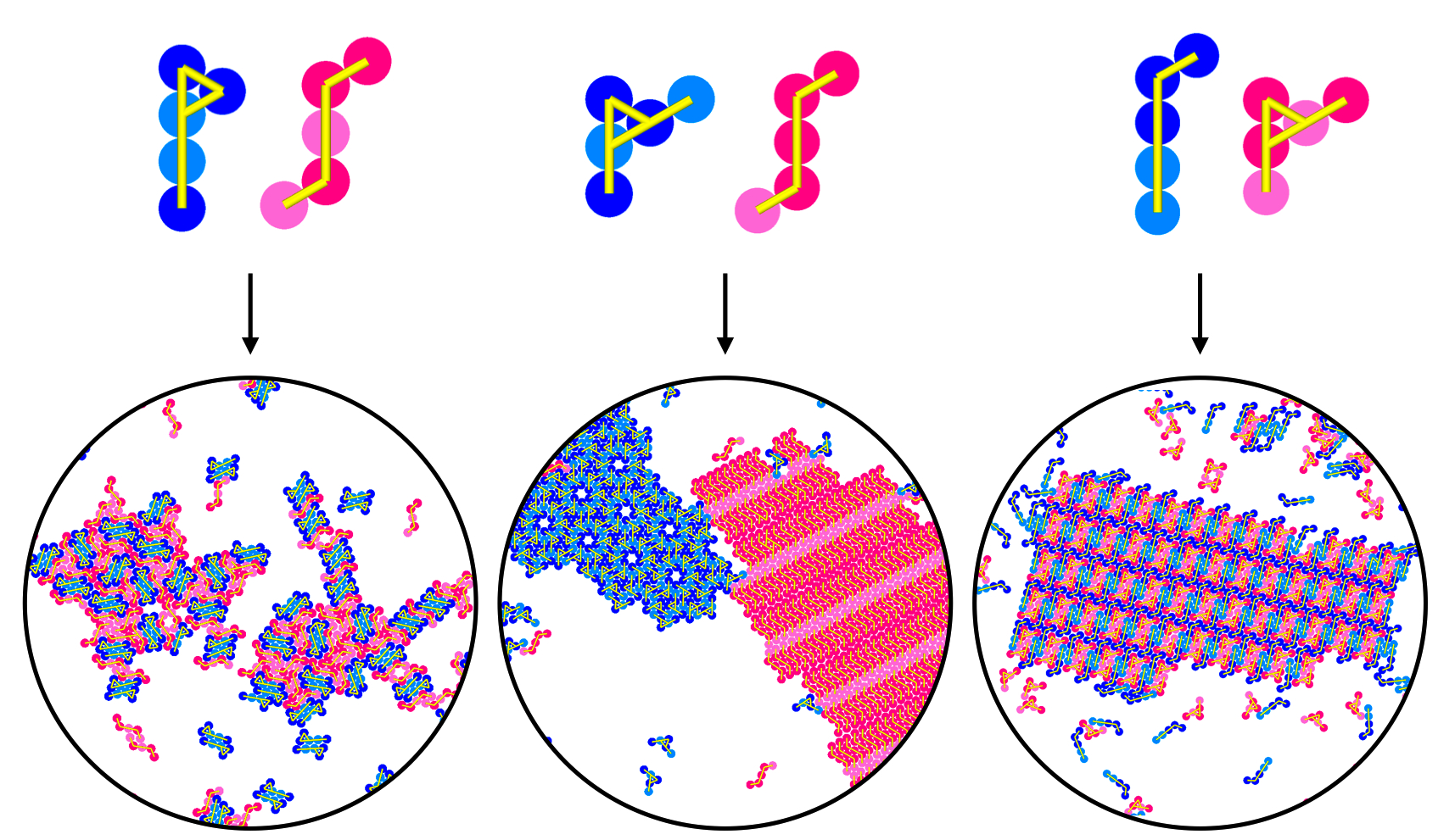 Molecular dynamics simulations of co-crystallization: Thermodynamics vs ...