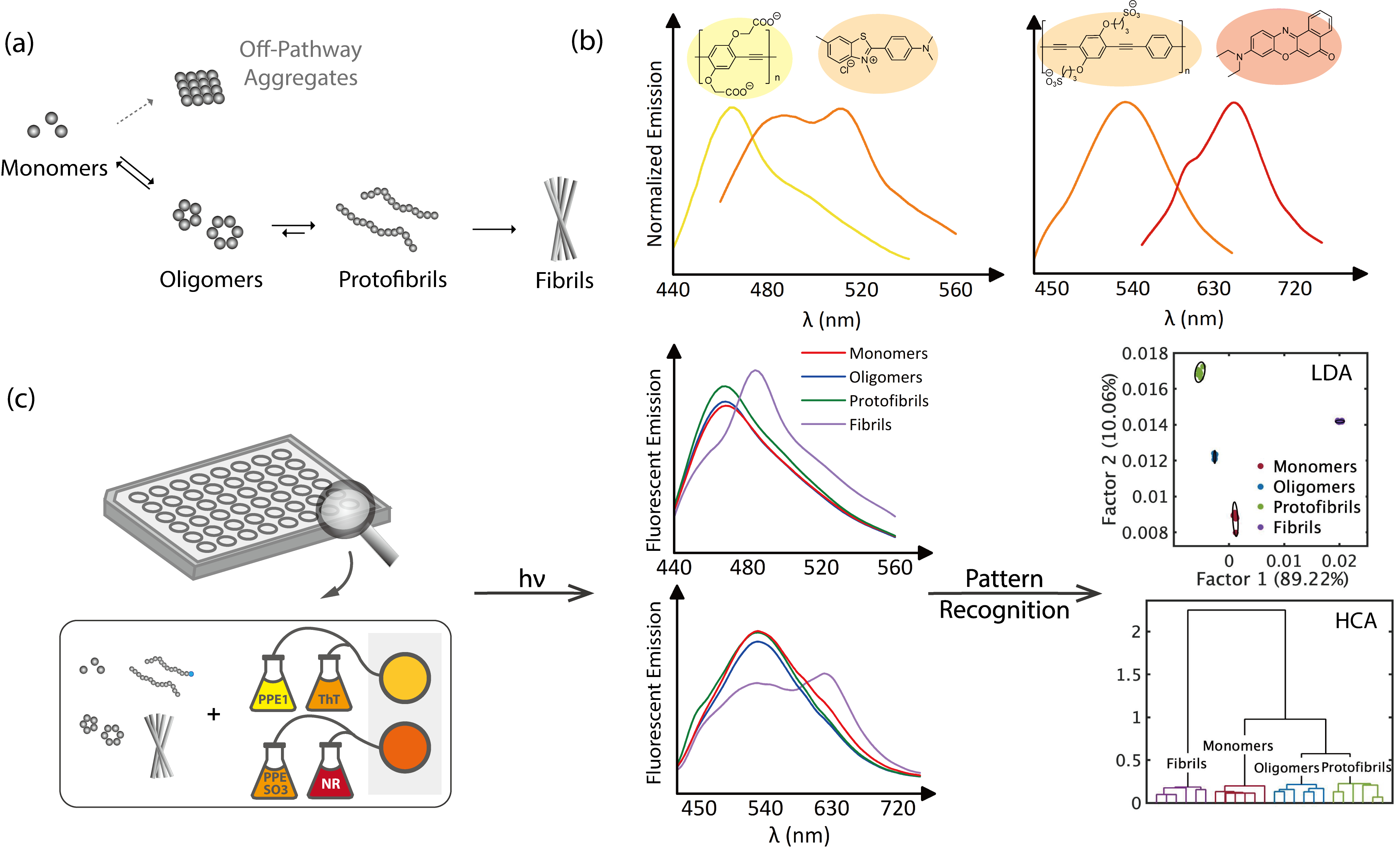 A cross-reactive fluorescent sensor array for discrimination of amyloid ...