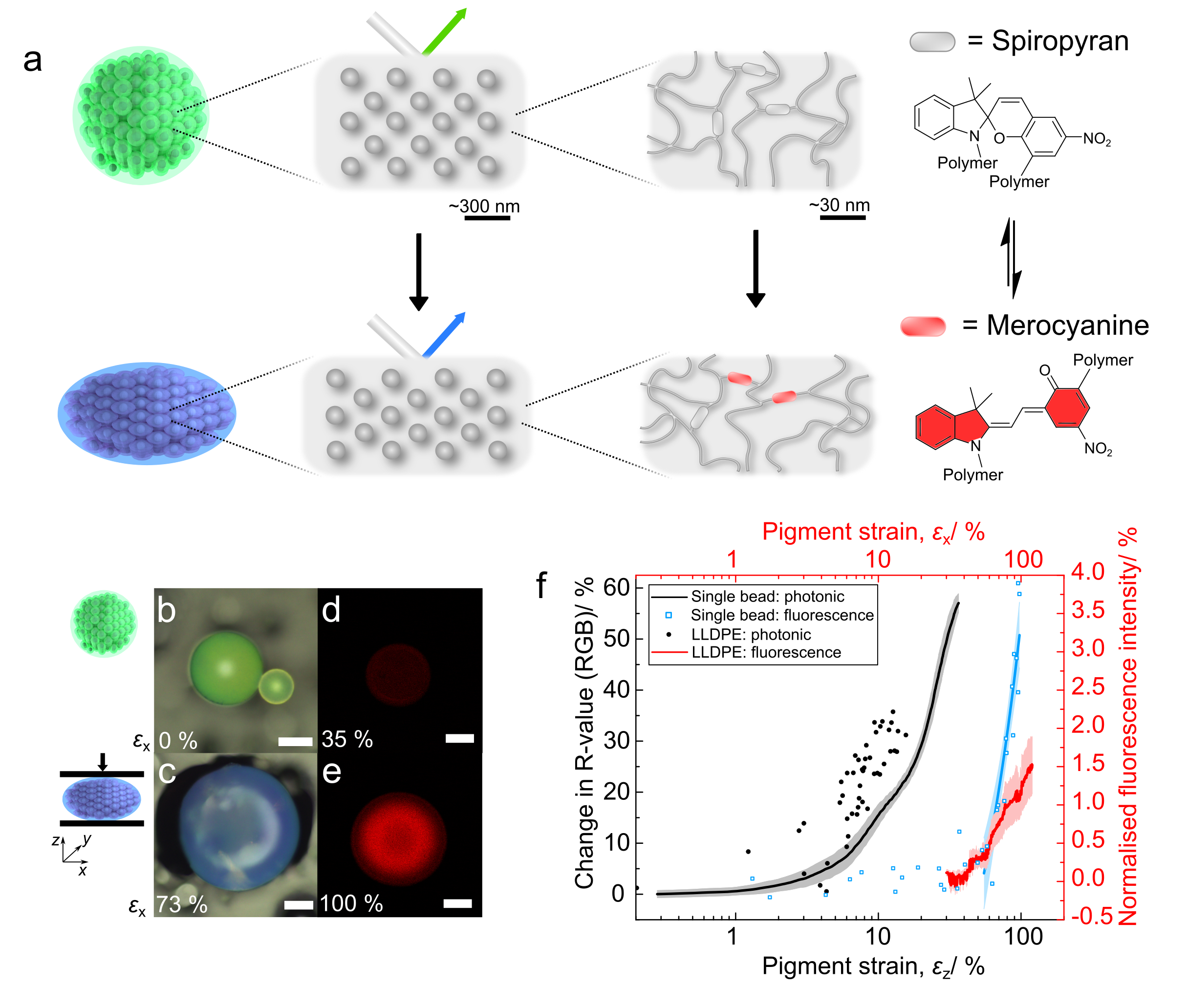 Different forms of silica nanoparticles based on (A) Structural