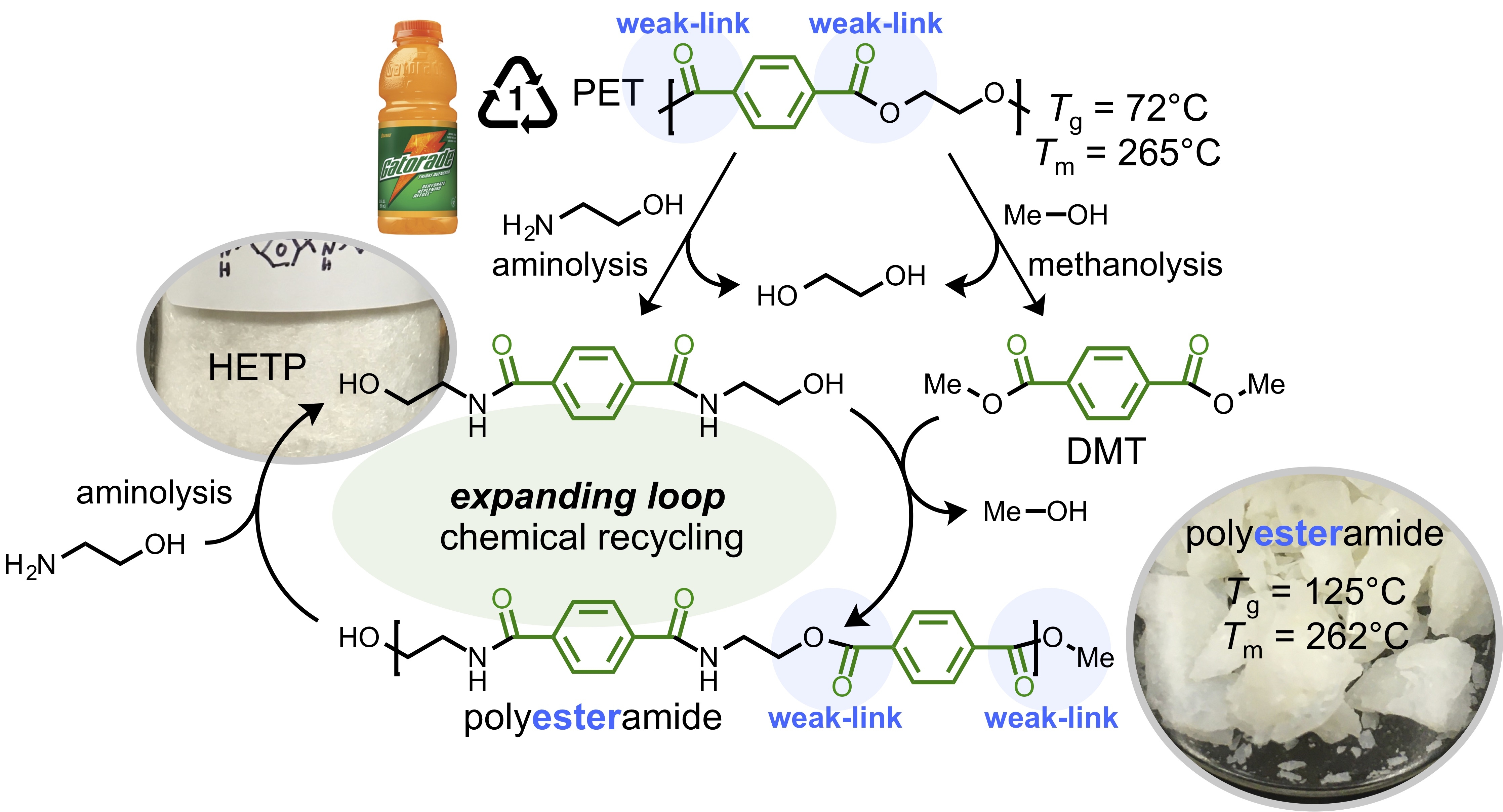 Each cycle of exp<i>anding loop </i>chemical recycling incorporates additional DMT from PET—thereby doubling the quantity of polyesteramide produced.  This nylon hybrid has a <i>T</i><sub>g</sub> value of 125 °C and a <i>T</i><sub>m</sub> of 262 °C.