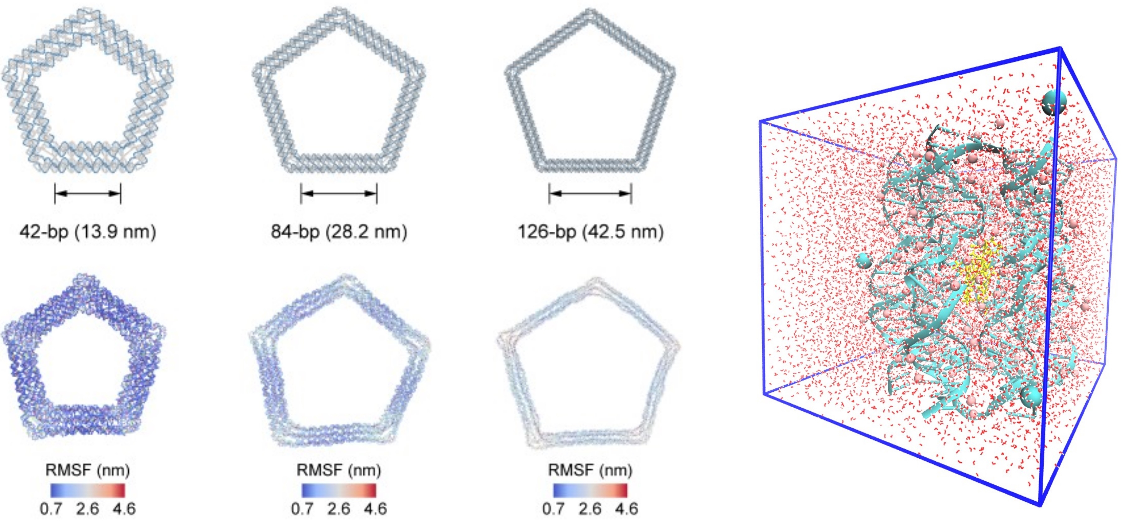 Functionalized Nanomaterial Assembling and Biosynthesis Using the