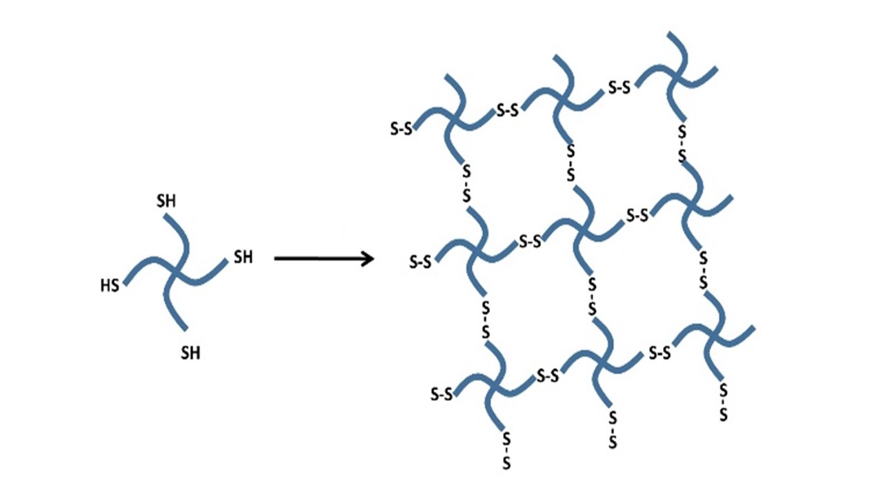 Soft mechanochemistry of dynamic covalent polymer networks - American ...