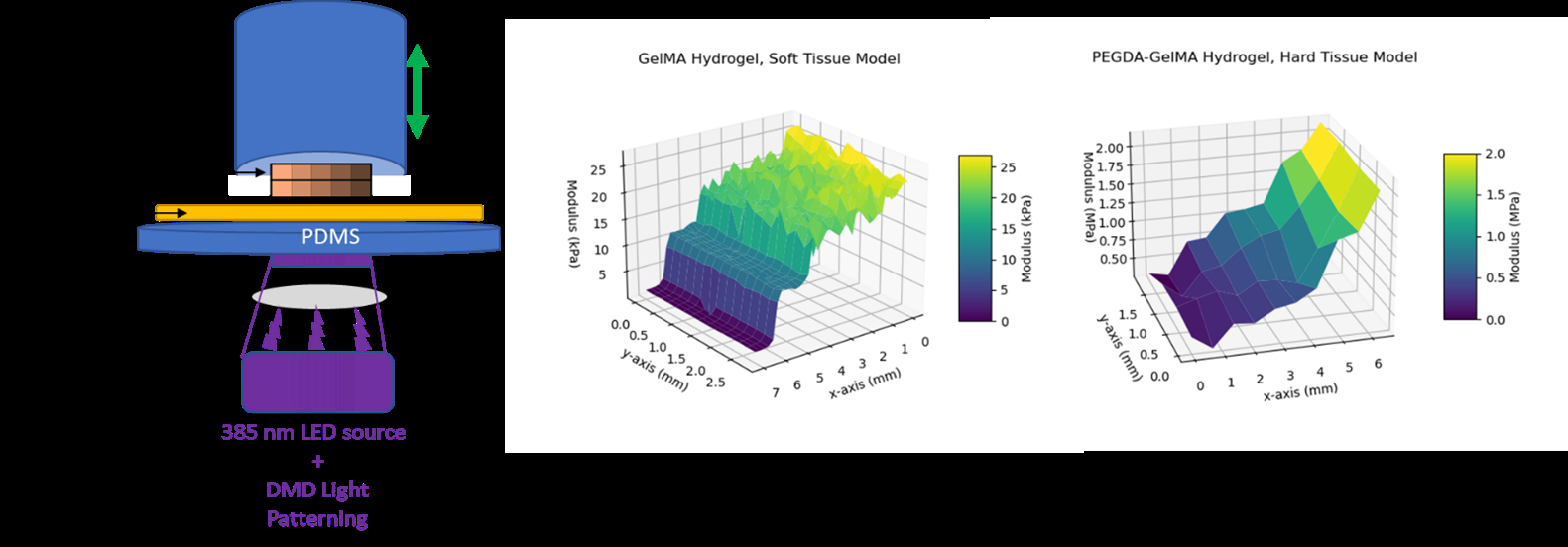 Stiffness Gradient 3D-printing multi-dimensional microscale stiffness gradients for ...