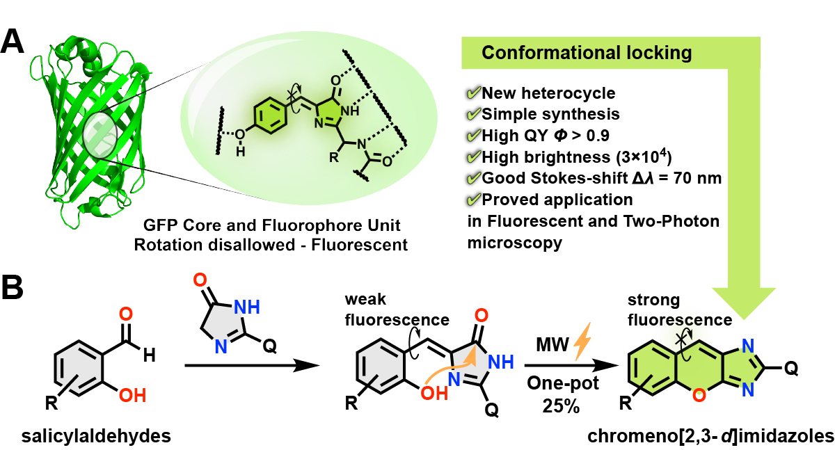 A) Structure of GFP and it's chromophore, showing the fluorescence caused by conformational locking. B) Synthesis and skeleton of chromeno[2,3-<i>d</i>]imidazoles