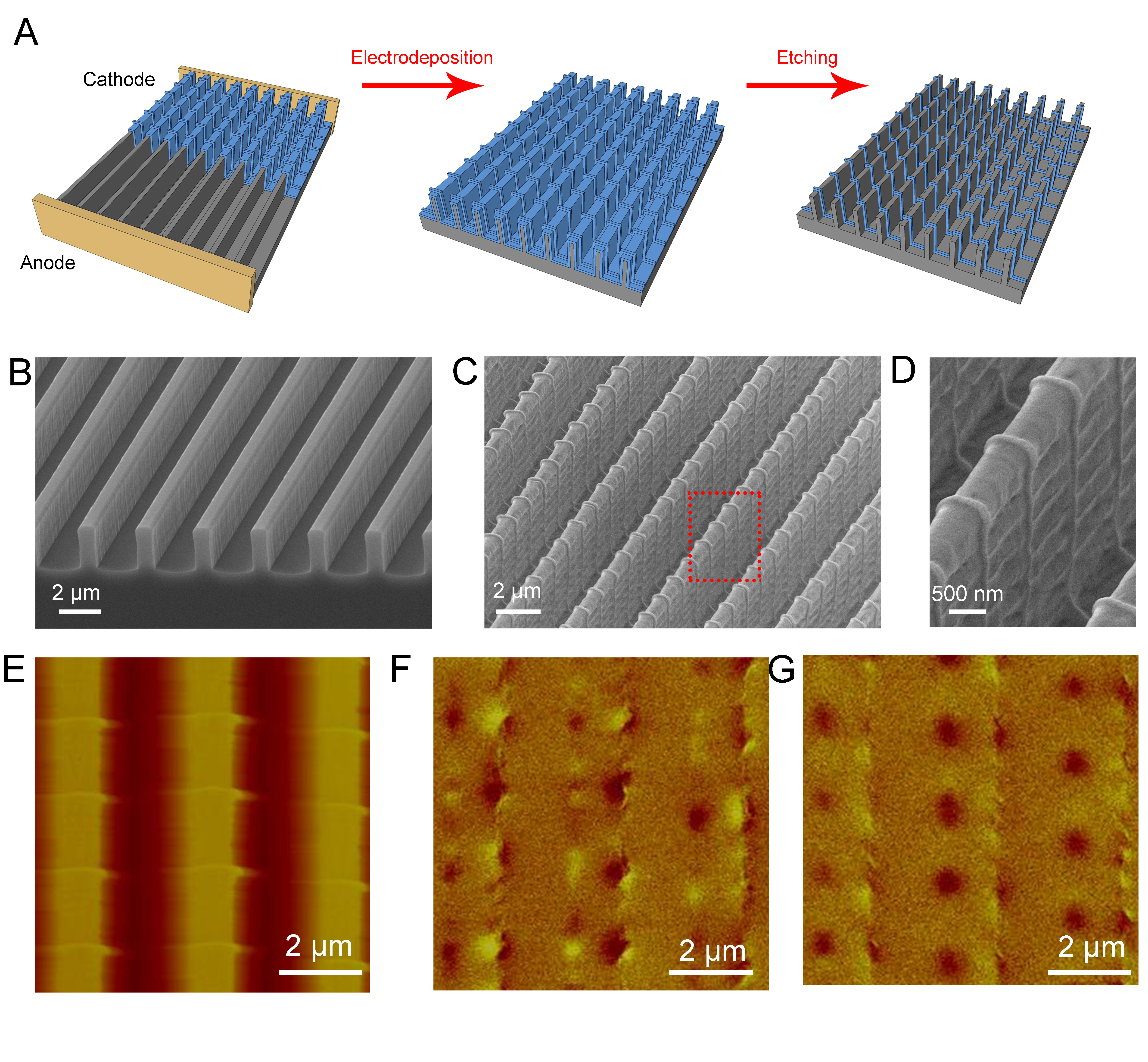 Formation of 3D magnetic nanowire arrays by cooperative lateral growth ...