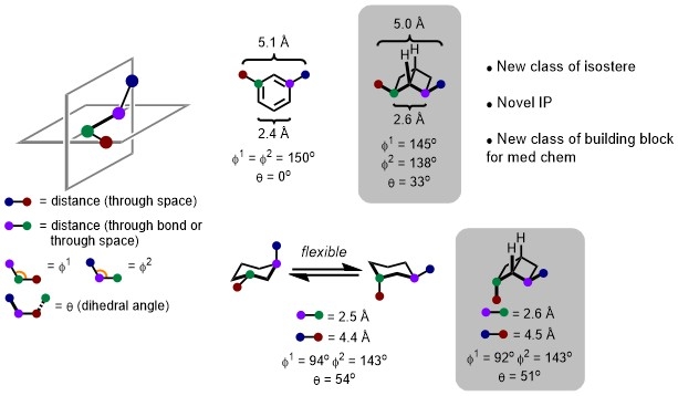 Climbing to new chemical space: [2]-Ladderanes as elusive isosteres for ...