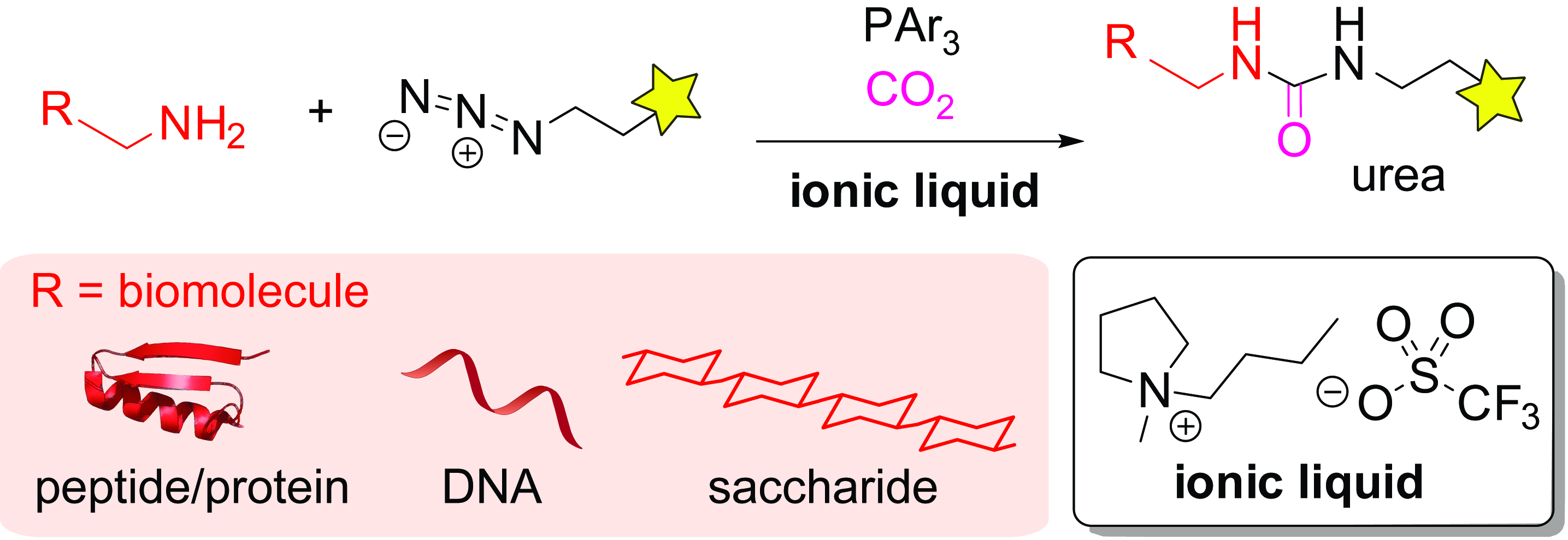 Bioconjugation in ionic liquid using a phosphine-mediated amine-azide ...