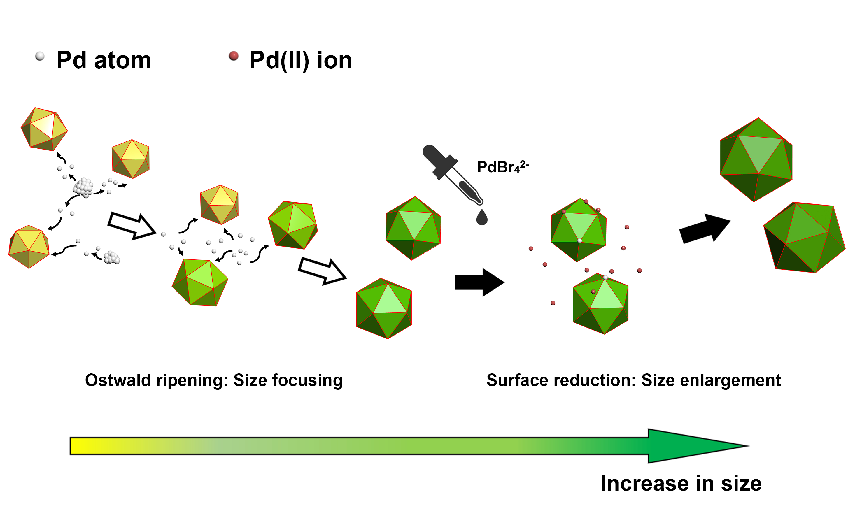 Polyol synthesis of Pd icosahedral nanocrystals: Insights into the ...
