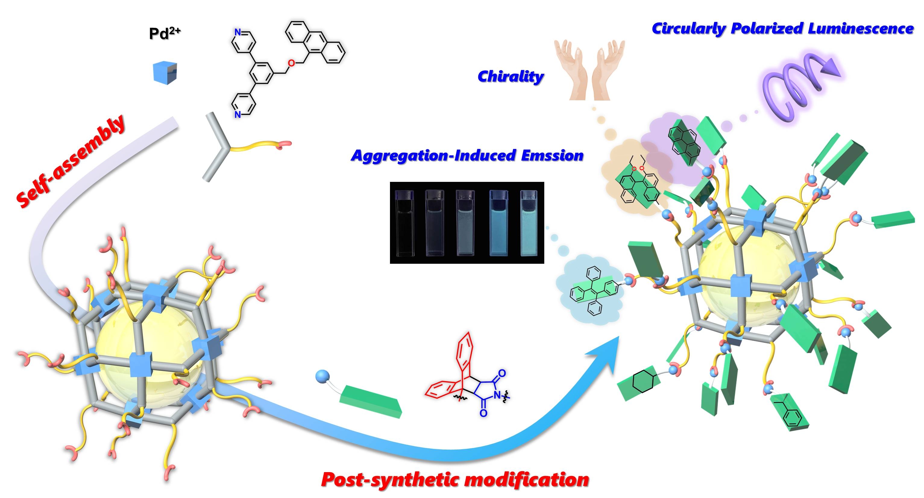 Tailormade PdnL2n cages with customized functions via