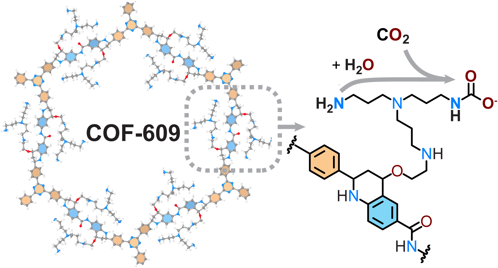 Conceptual illustration of COF-609 sorbent, its amine sites, and the capture of CO<sub>2</sub>.