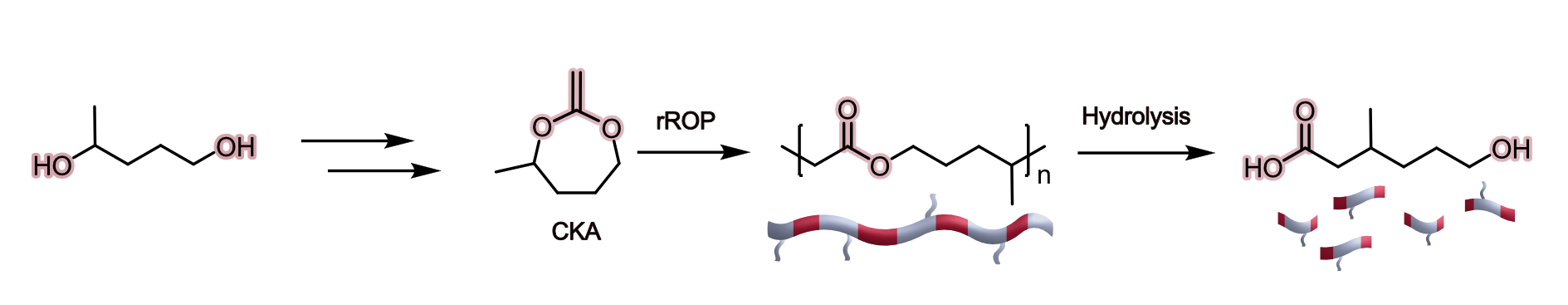 Branched polyesters from radical ring-opening polymerization of cyclic ...