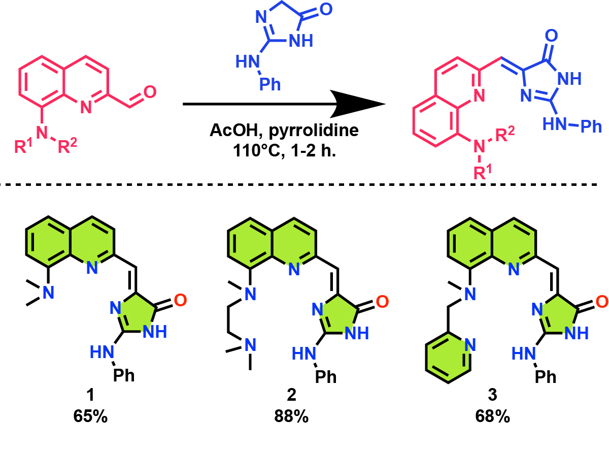Novel fluorescent Zn2+ chemosensors based on locked GFP
