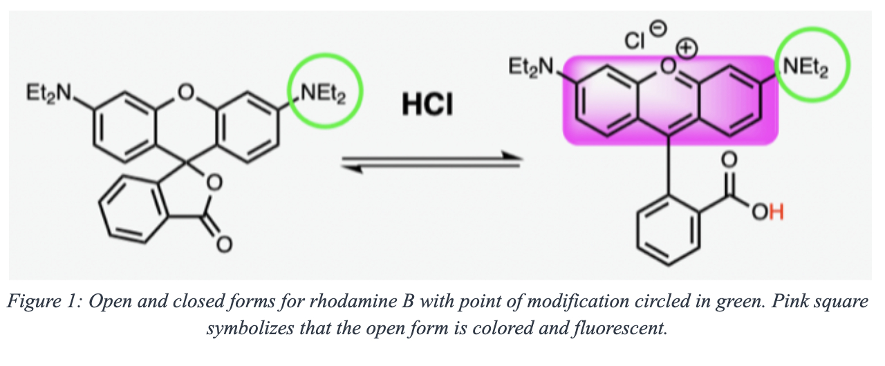 Synthesis of asymmetric rhodamine B derivatives with chiral sensing ...