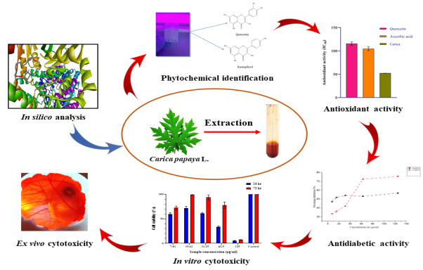 In silico, in vitro, and ex vivo assessment to evaluate the ...