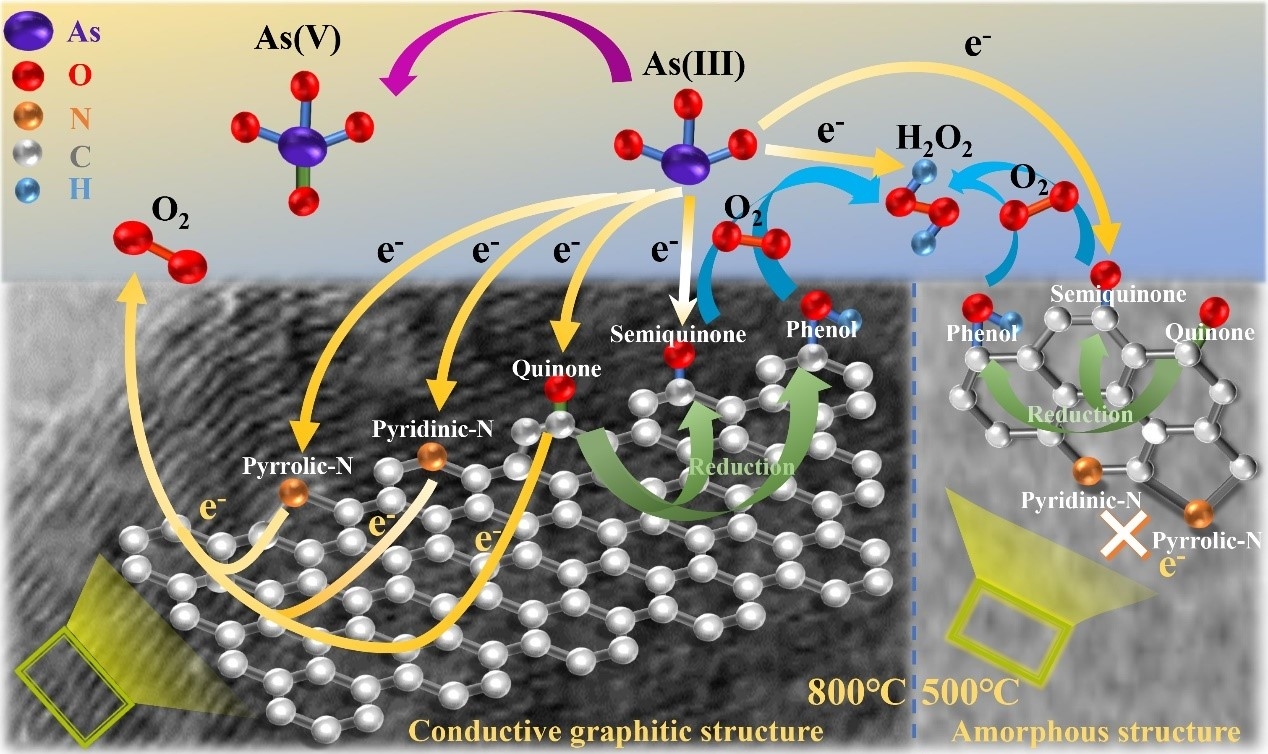 Pyrogenic Sensor Linking pyrogenic carbon redox property to arsenite oxidation: Impact ...