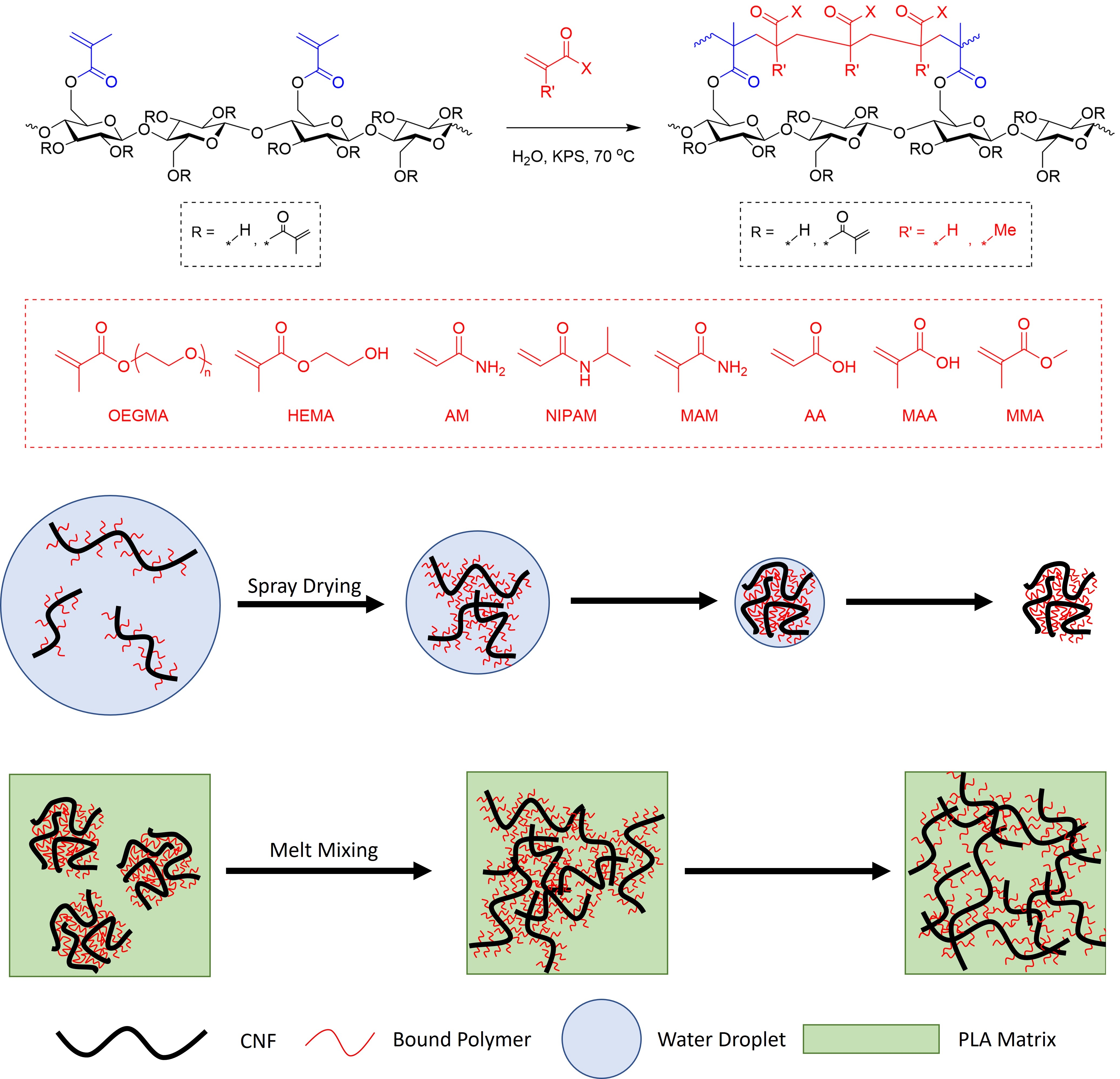Harnessing polymer grafted cellulose nanofibrils as scalable ...