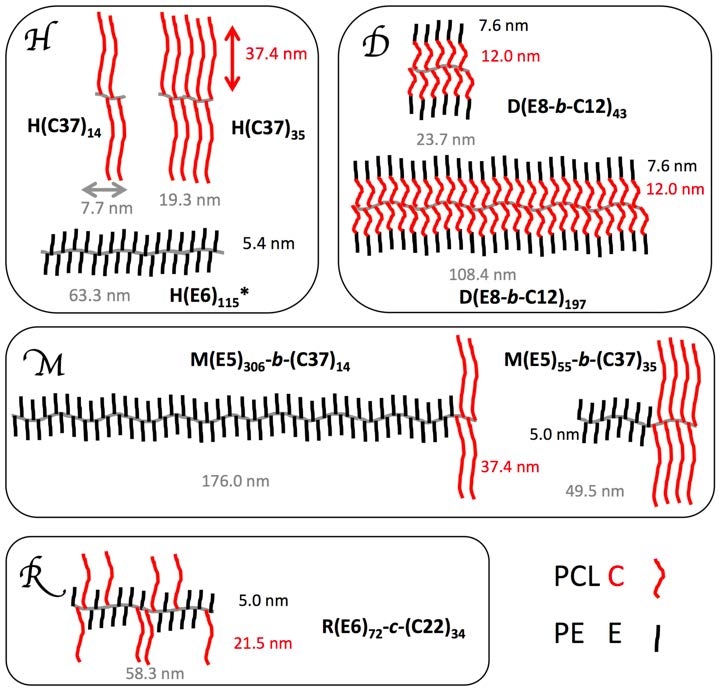 Morphology and crystallization of bottlebrush copolymers - American ...