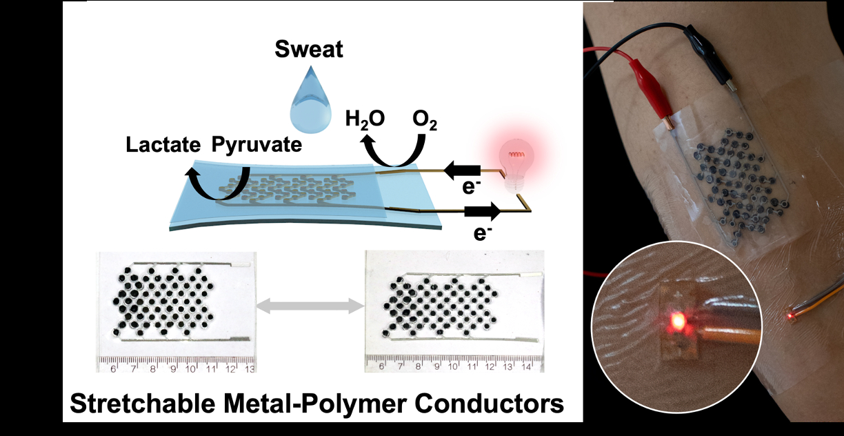 Stretchable liquid metal-based metal-polymer conductors for fully ...