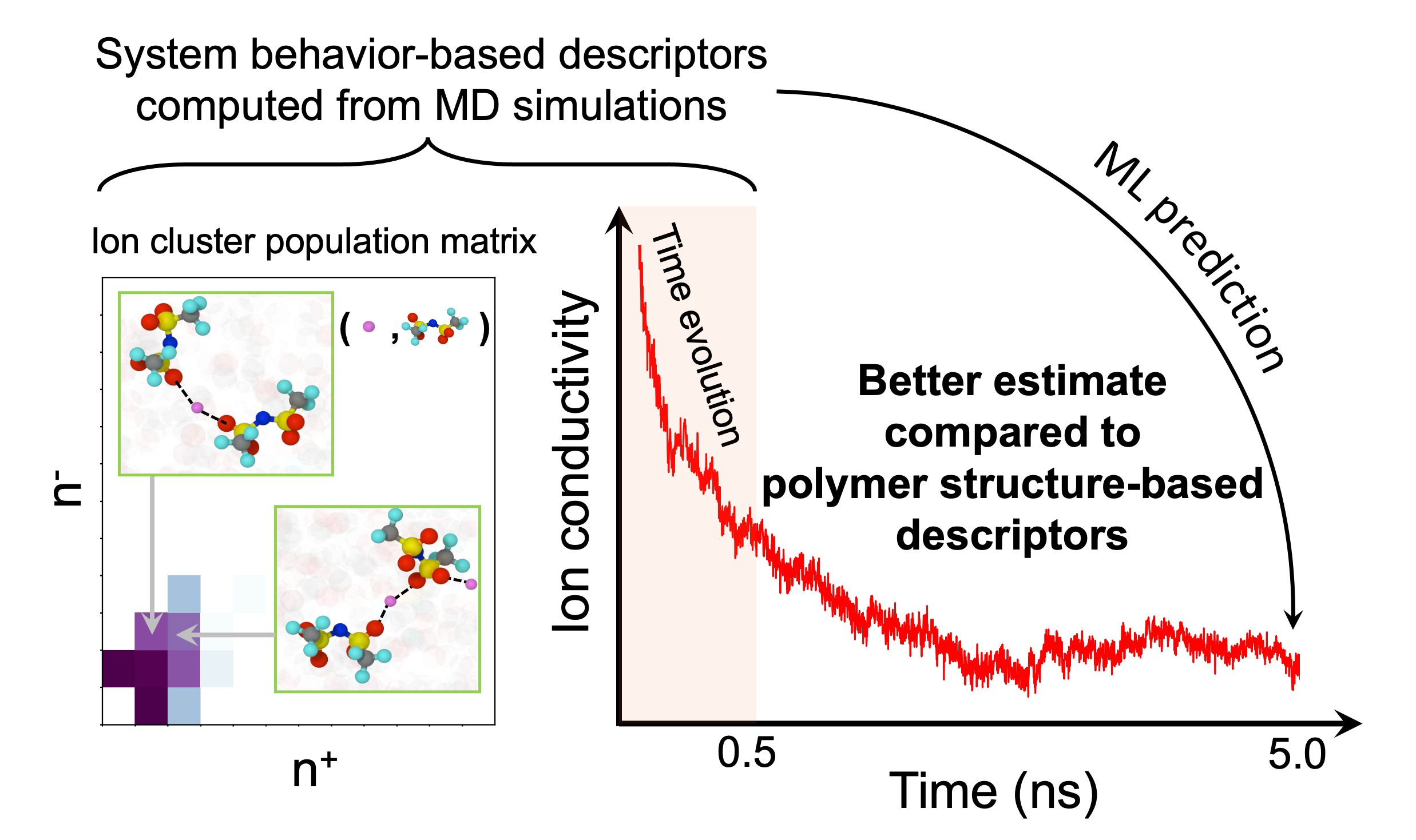 Early prediction of ion transport properties in solid polymer ...