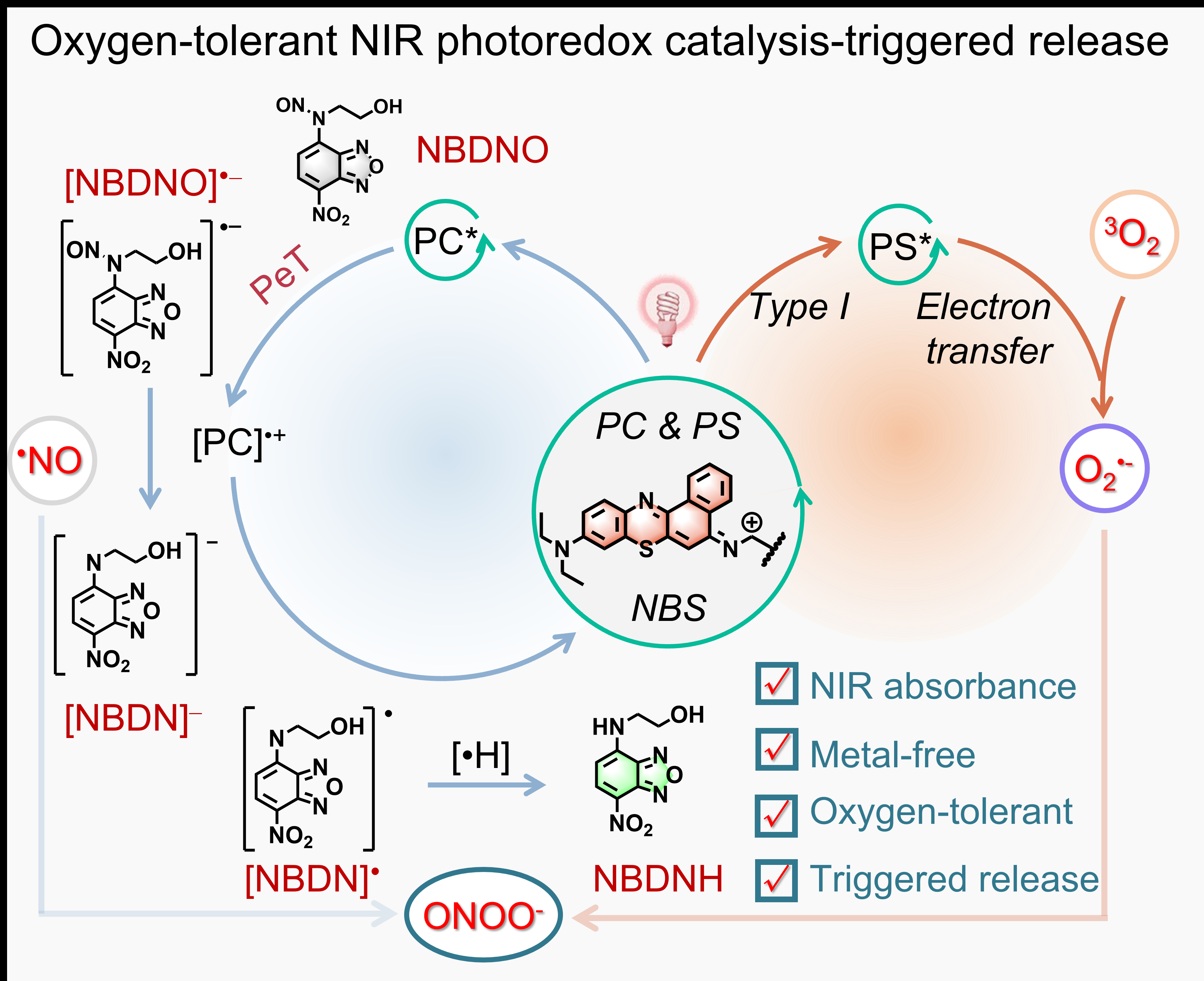 Overcoming the oxygen dilemma in photoredox catalysis: Near-infrared (NIR)  light-triggered peroxynitrite generation for antibacterial applications -  American Chemical Society