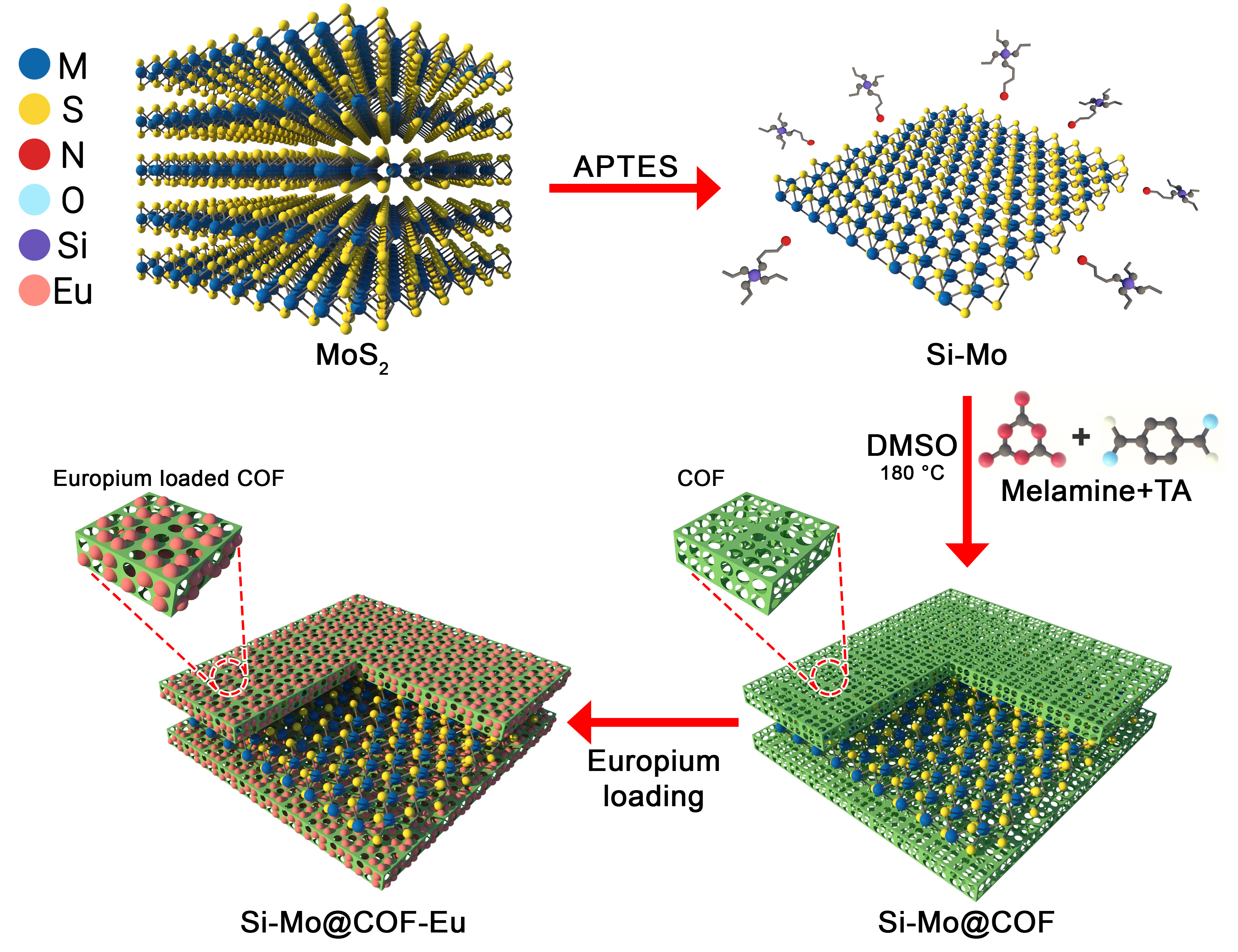 Synergistic assembly of MoS2 nanosheets and covalent organic frameworks ...