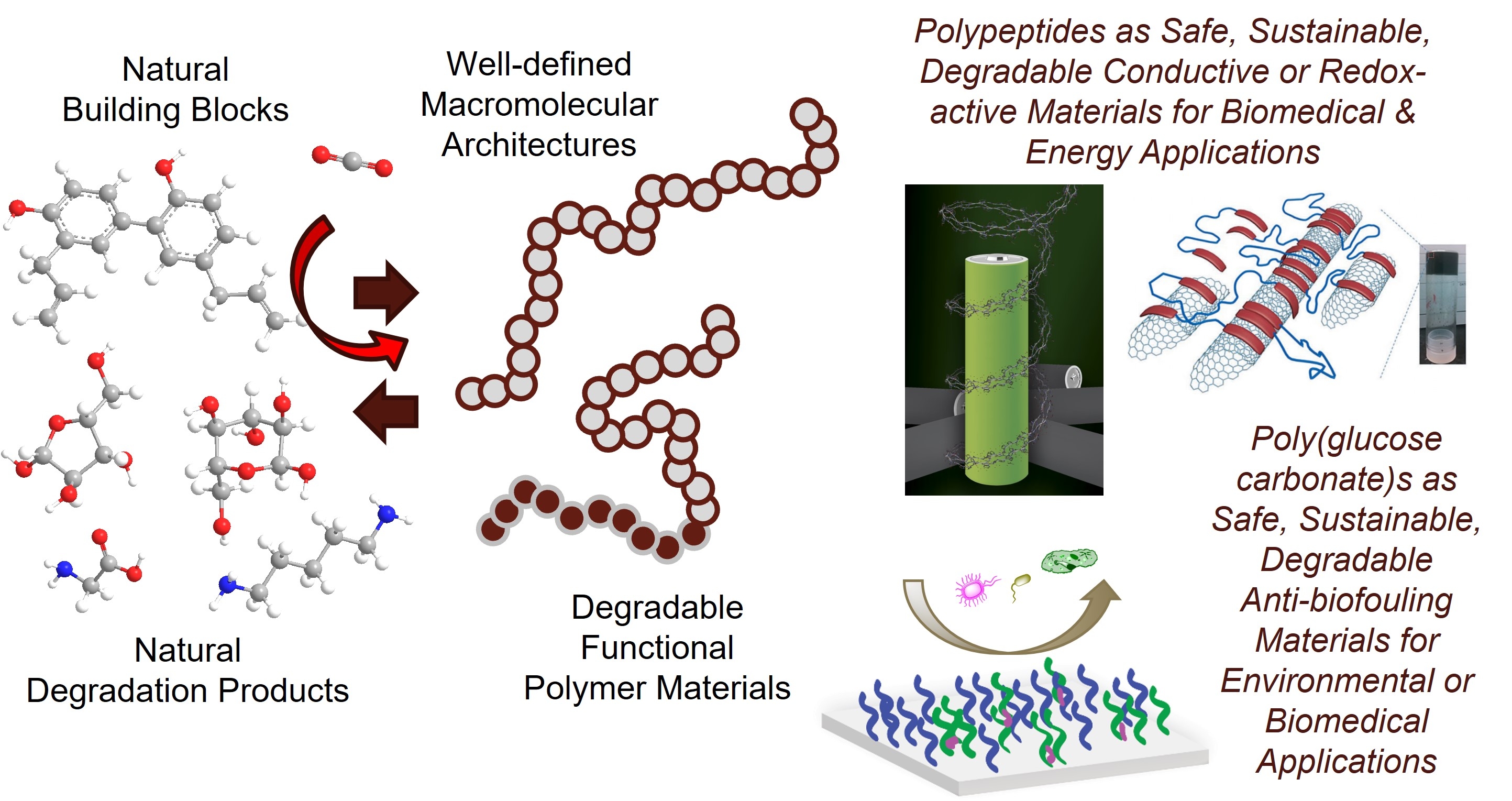 Transformation of amino acids or carbohydrates into sustainable 