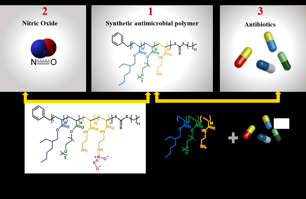 Design of antimicrobial polymers - American Chemical Society