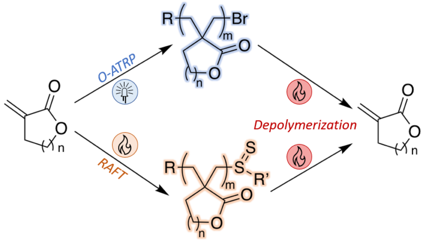 Controlled Addition Controlled radical vinyl addition polymerization and subsequent ...