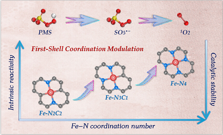 Chemical Compound Shell Facilely tuning the first-shell coordination microenvironment in iron ...