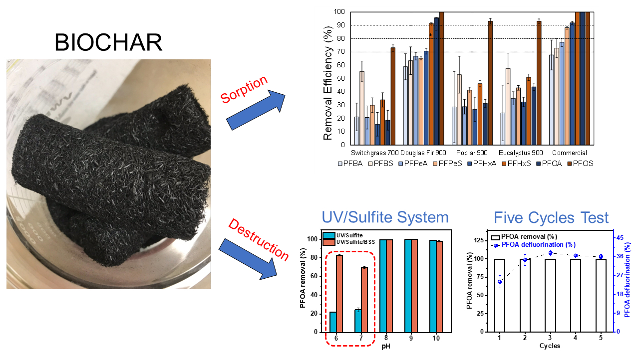 Biochar-enabled platform for PFAS sorption and degradation by advanced ...