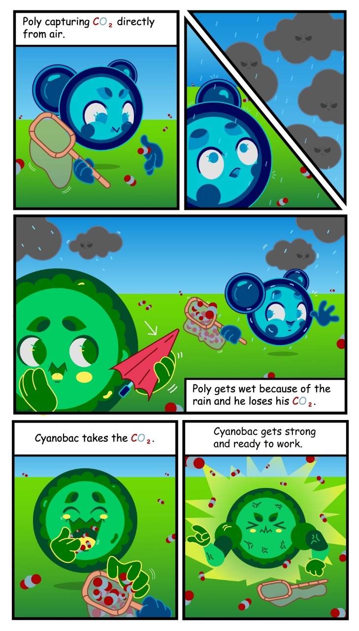 CO<sub>2 adsorption/desorption in polymeric sorbent and cyanobacteria growth. Illustration by Ena Estibaliz Chavez Caro.</sub>