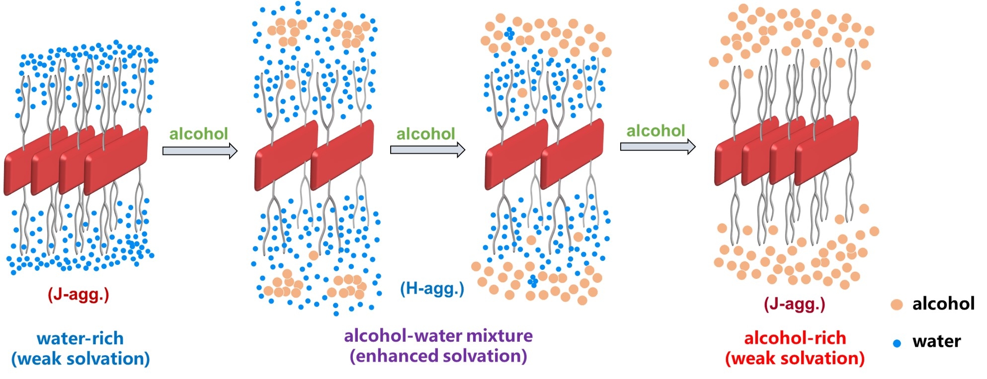 Special Solvating Effects Of Mixed Water And Alcohols Revealed By special-solvating-effects-of-mixed-water-and-alcohols-revealed-by