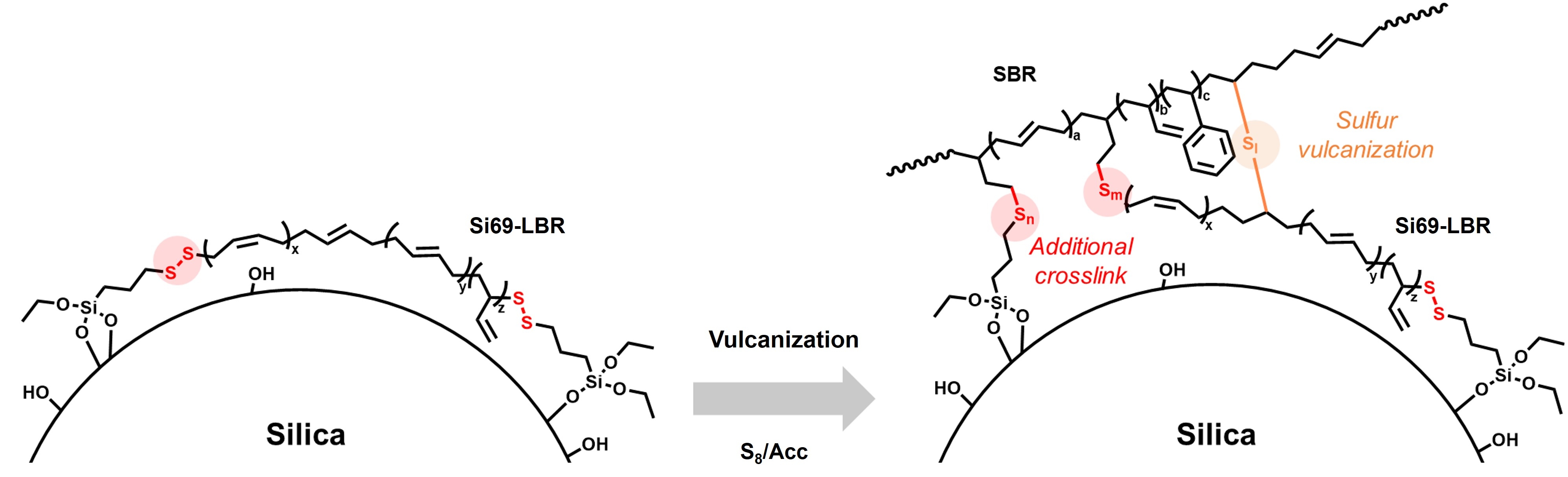 Telechelic Raft Functionalization Triethoxysilyl-terminated telechelic liquid butadiene rubber with ...