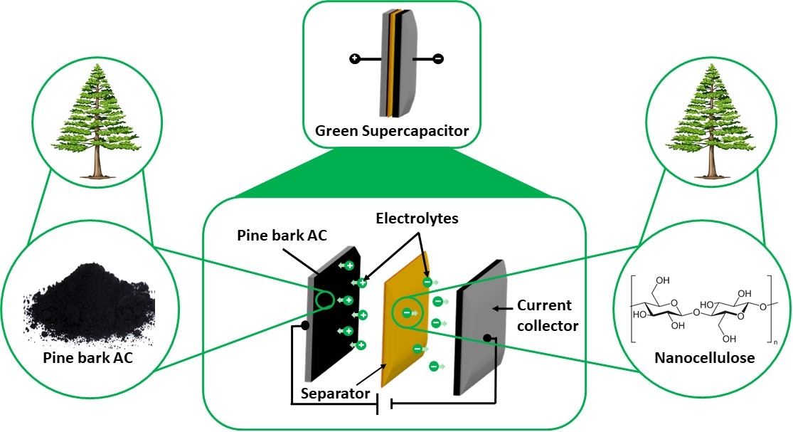 Biomass-derived electrode and electrolyte for green supercapacitors ...