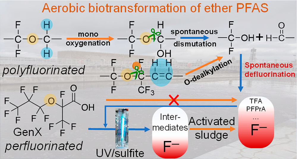 Pfa Defluorination Aerobic biotransformation and defluorination of fluoroalkylether ...
