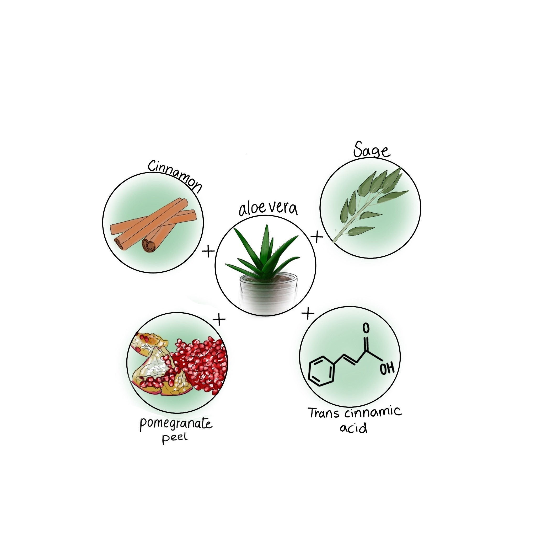 Plant based, polymeric Iodophors with antimicrobial properties against  surgical site infections - American Chemical Society