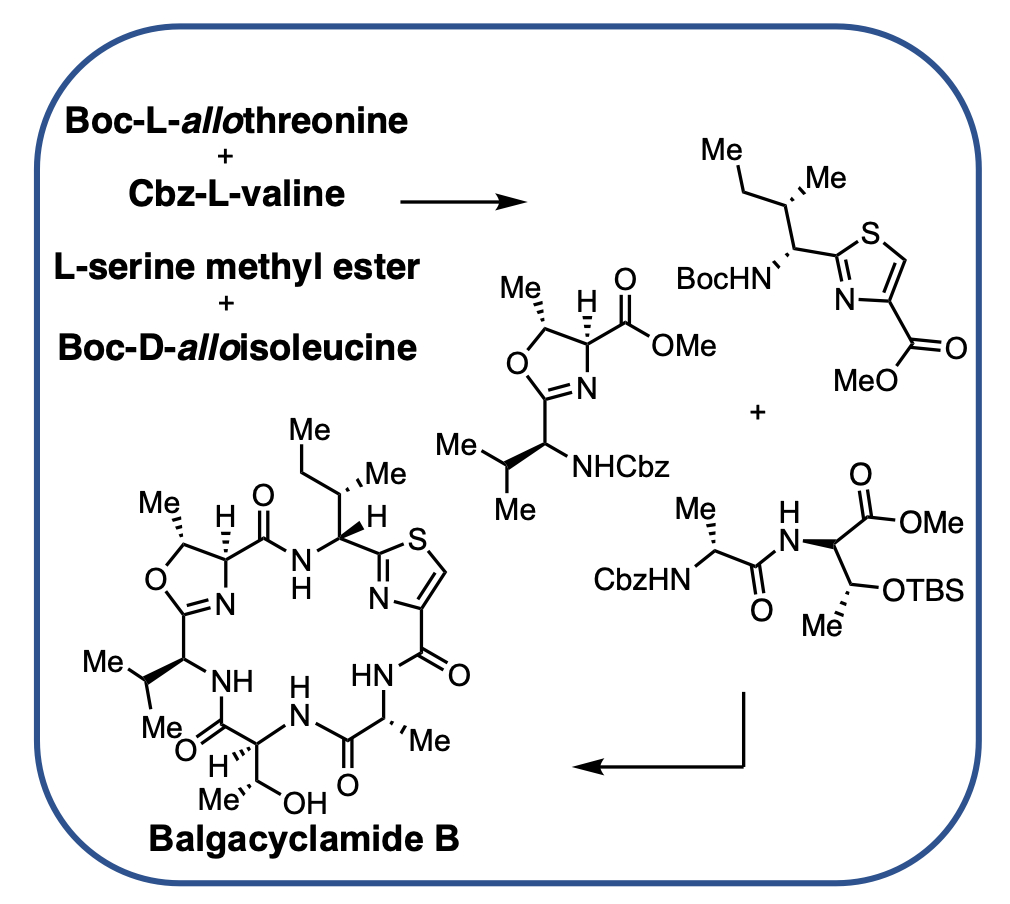 ACS Spring 2024 Current & Schedule American Chemical Society