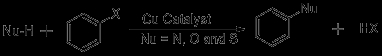 <b>    Scheme 1:  </b>General scheme for C-N/O/S based coupling reactions.