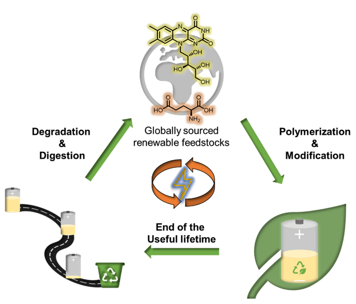Bioinspired and biodegradable redox-active polypeptides for 