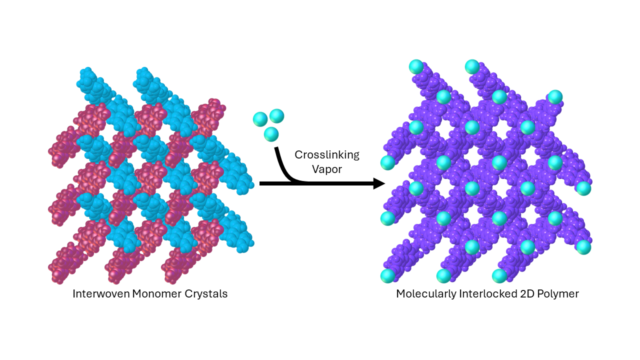Intermingling Polymer 2D interlocked polymerizations in the solid state - American Chemical ...