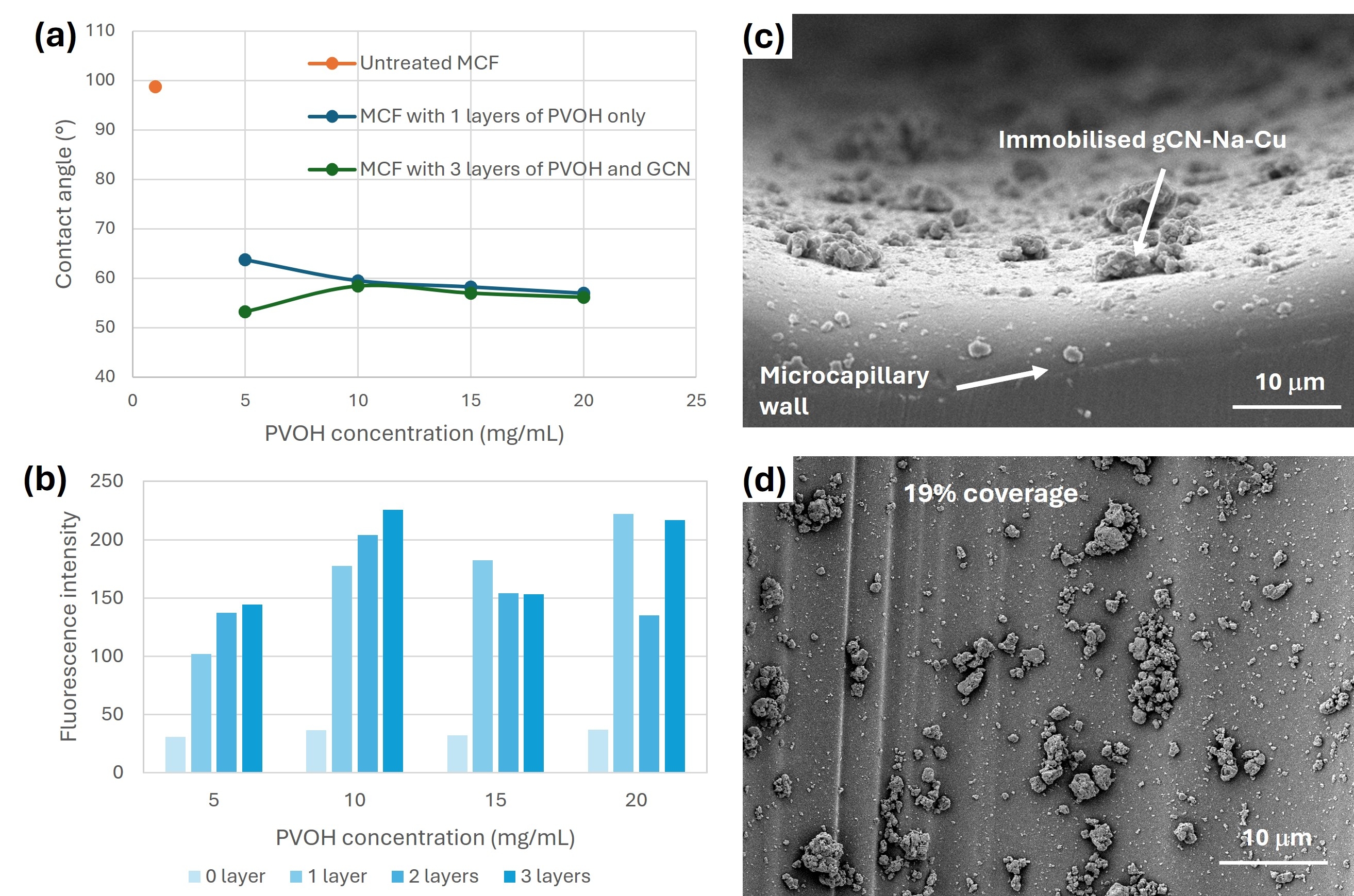 Immobilisation of co-dopped graphitic Carbon Nitride for direct solar ...