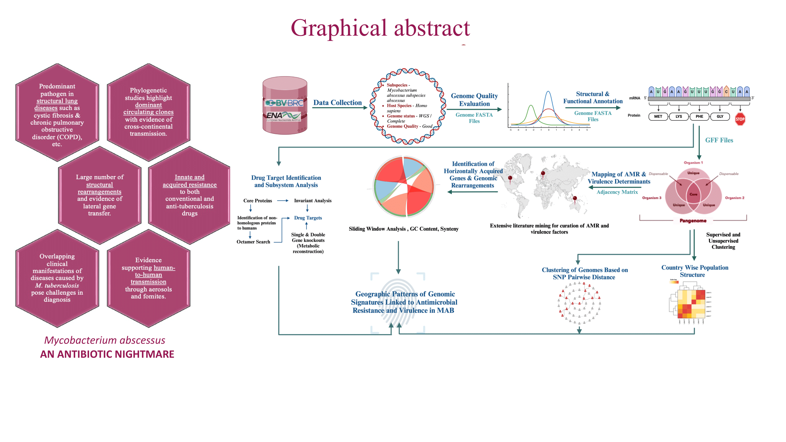 An ensemble approach to studying antimicrobial resistance in non-tuberculous mycobacteria, specifically <i>Mycobacterium abscessus</i> (MAB), involves deeply annotating MAB genomes and highlighting the global distribution patterns of AMR genes.  We advocate for a localized understanding of resistance profiles, as this approach is pivotal in devising targeted strategies to address the burgeoning threat of AMR.