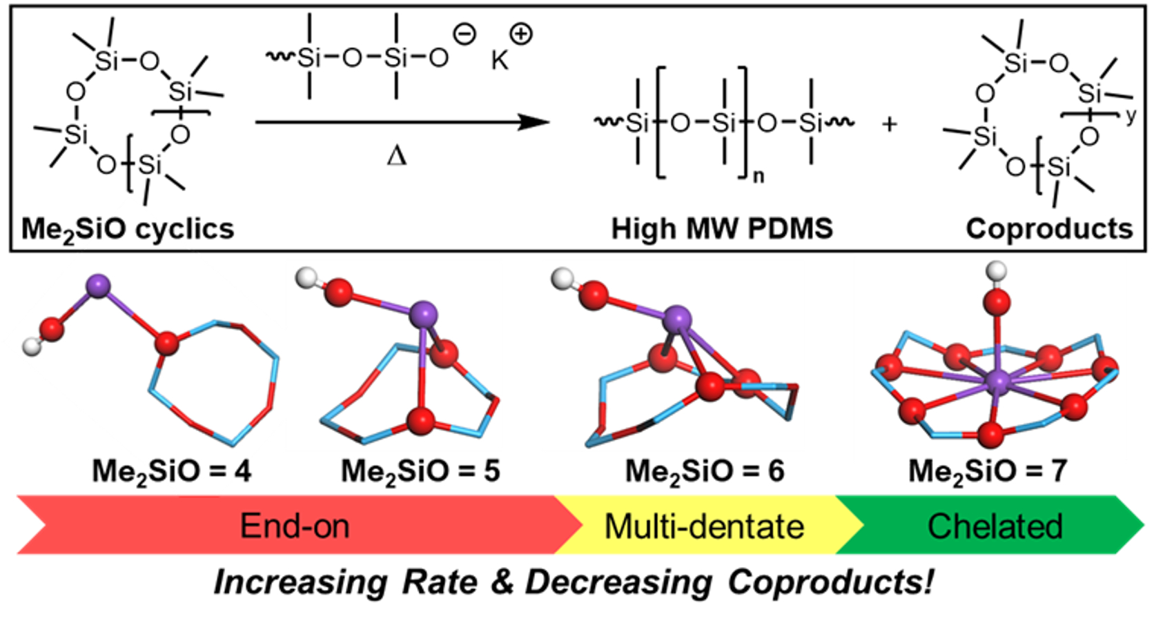 Ring opening polymerization of macrocyclic siloxane monomers and ...