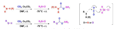 Scheme for synthesis of Silyl Carbamates and Silyl Carbonates
